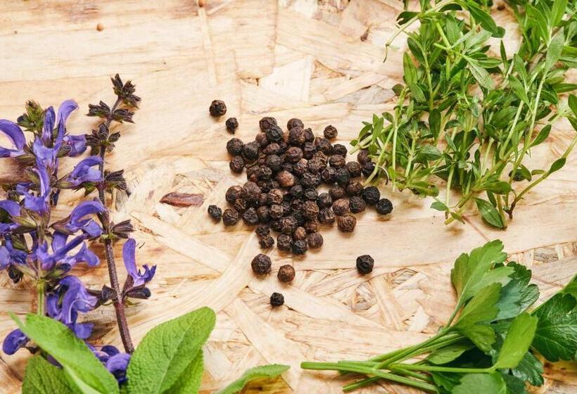 آپارتمان لوکس 1 خوابه, Rooms & Restaurant Ostarija