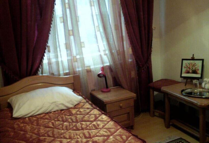 Номер Стандарт, Pensiunea Claudiu