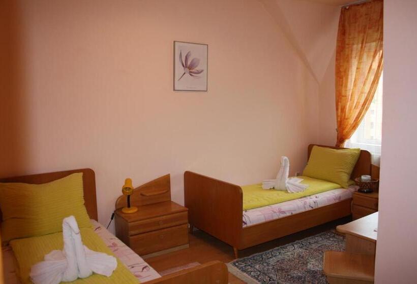 Номер Стандарт, Pensiunea Claudiu