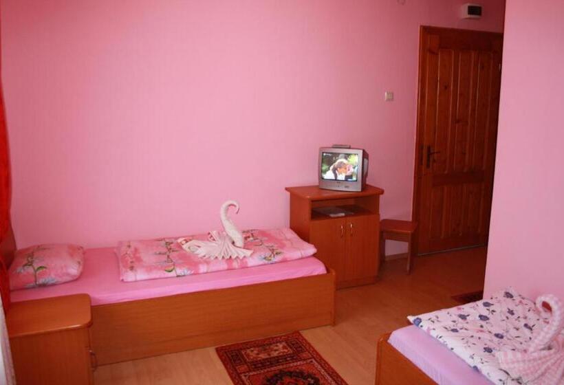 Номер Стандарт, Pensiunea Claudiu