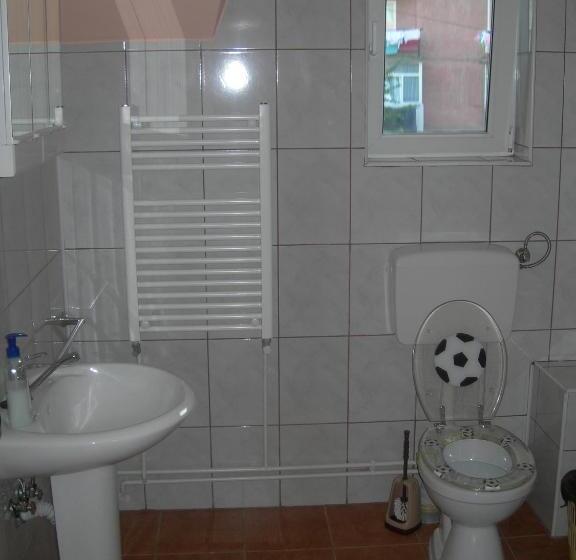 Номер Стандарт Трехместный, Pensiunea Claudiu