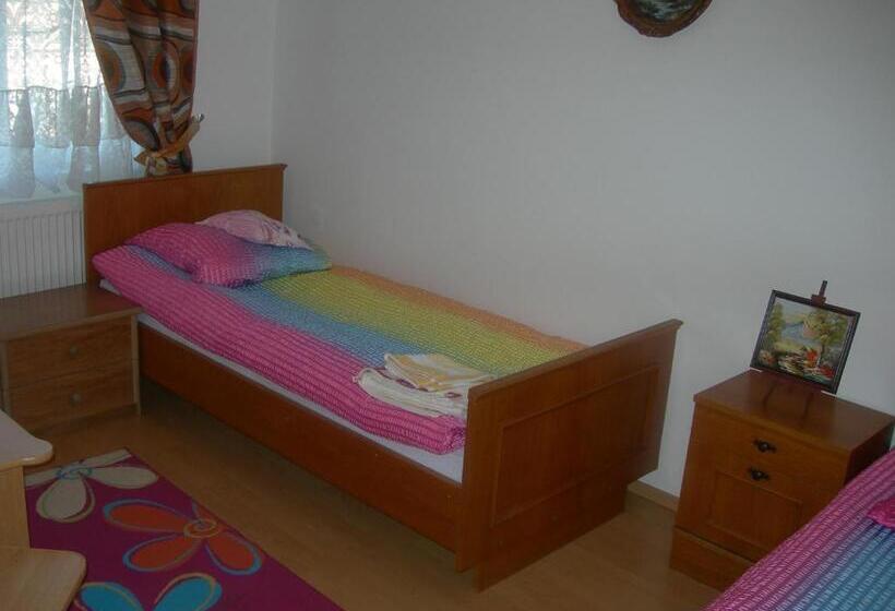 Номер Стандарт Индивидуальный, Pensiunea Claudiu