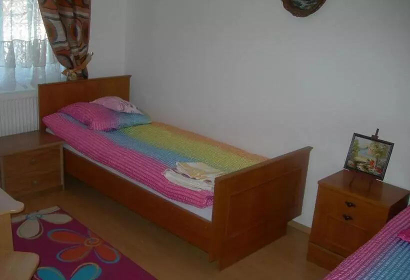 Standard Yhden Hengen Huone, Pensiunea Claudiu