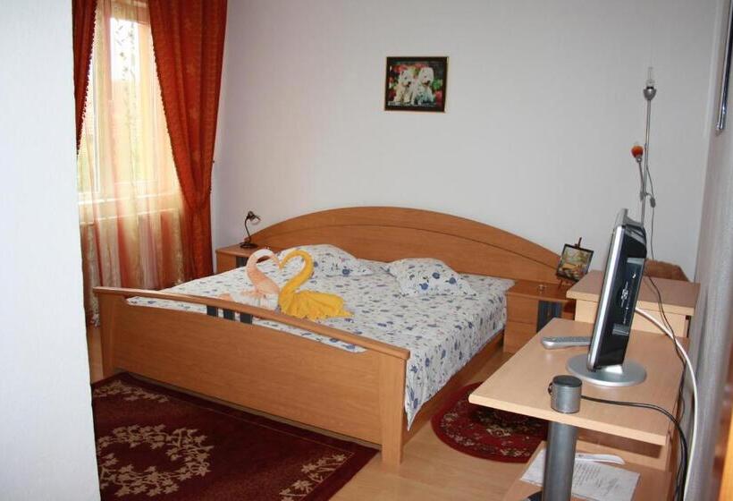 Номер Стандарт Индивидуальный, Pensiunea Claudiu