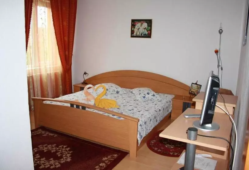 Standard Yhden Hengen Huone, Pensiunea Claudiu