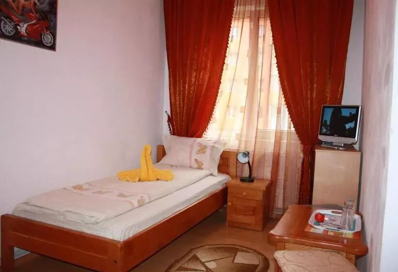 Standard Yhden Hengen Huone, Pensiunea Claudiu