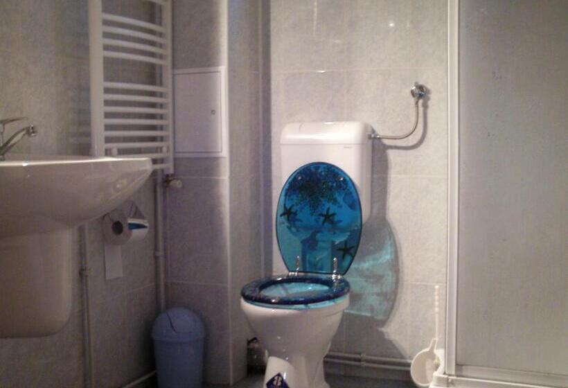 Номер Стандарт Индивидуальный, Pensiunea Claudiu