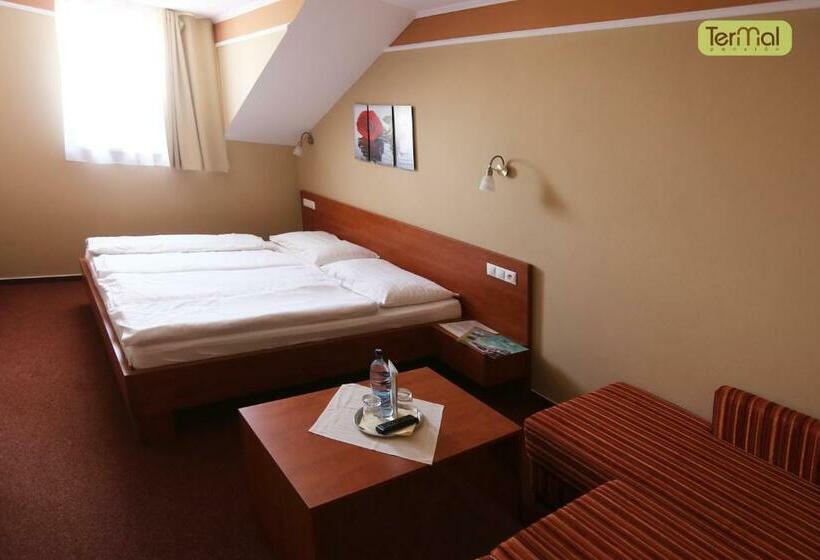 프리미엄 룸, Penzion Termal