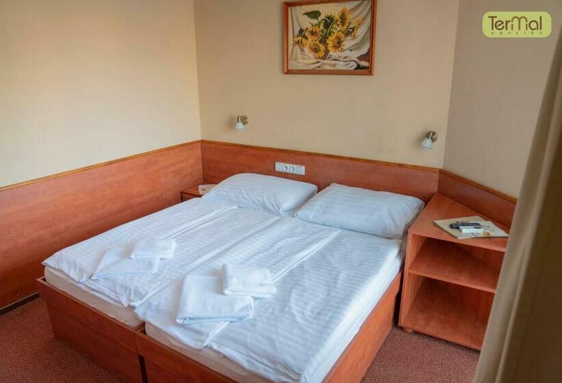 클래식 룸, Penzion Termal