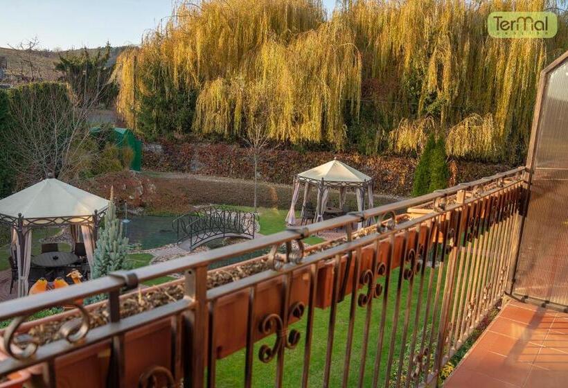 발코니가 있는 프리미엄 룸, Penzion Termal