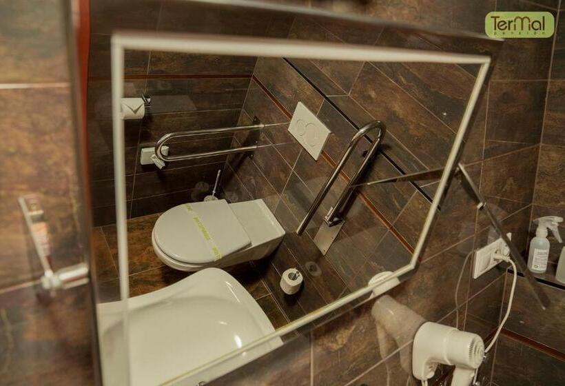 장애인을 위한 스탠다드 룸, Penzion Termal