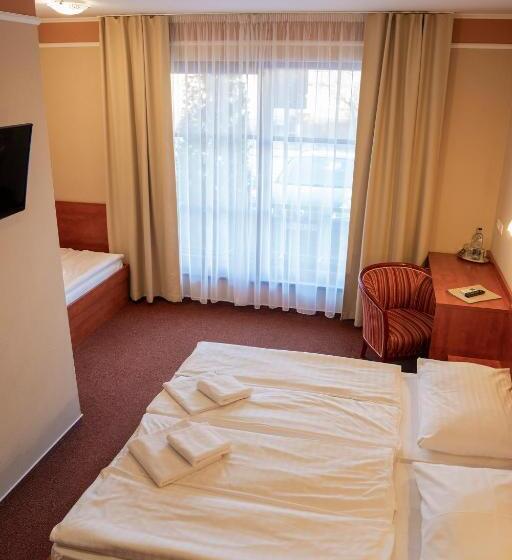 스탠다드 트리플 룸, Penzion Termal