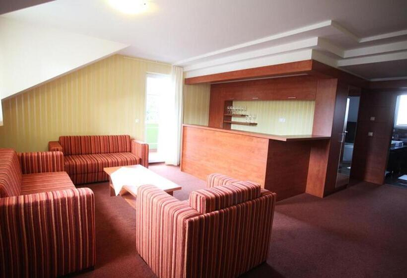 침실 1개 디럭스 아파트, Penzion Termal