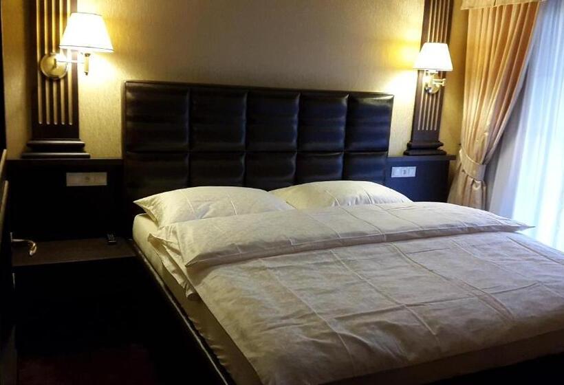 침실 1개 테라스 아파트, Penzion Termal