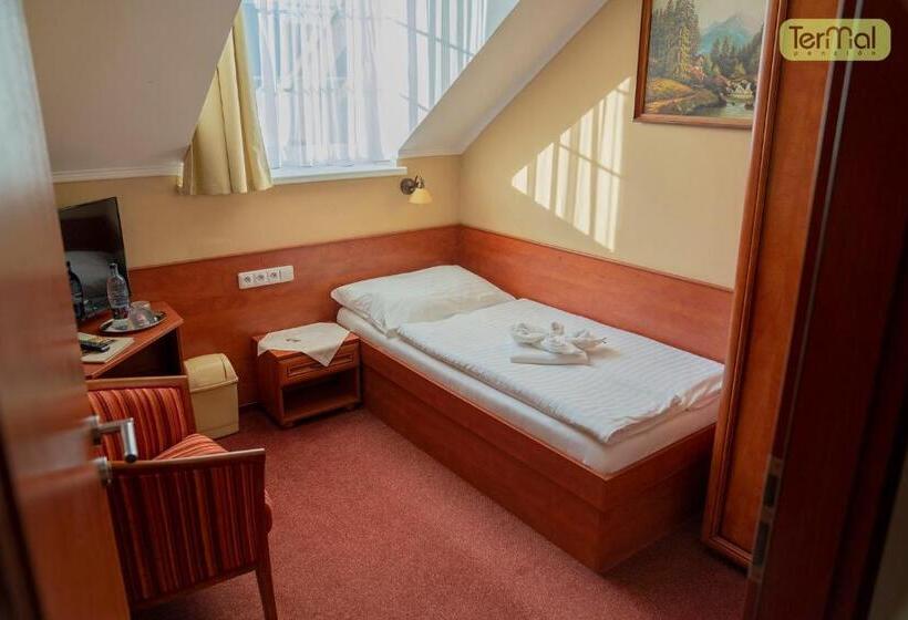 스탠다드 싱글 룸, Penzion Termal
