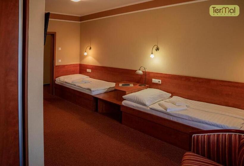 장애인을 위한 스탠다드 룸, Penzion Termal
