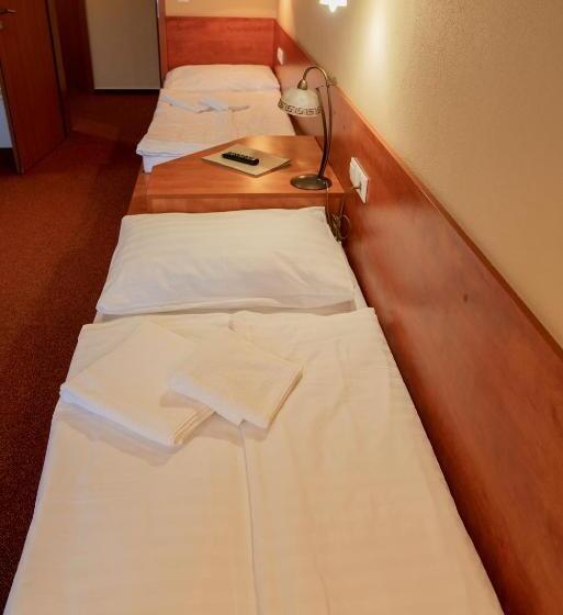 장애인을 위한 스탠다드 룸, Penzion Termal