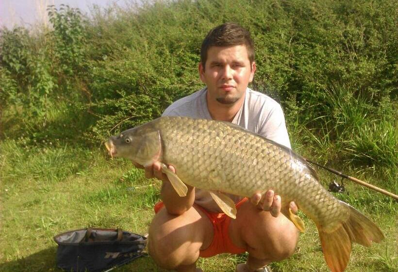 Номер Стандарт, Plauter Kúria