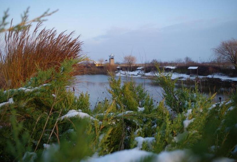 Номер Стандарт, Plauter Kúria