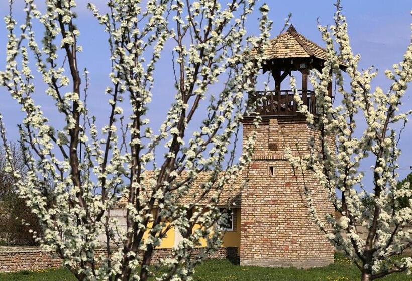 Номер Стандарт, Plauter Kúria