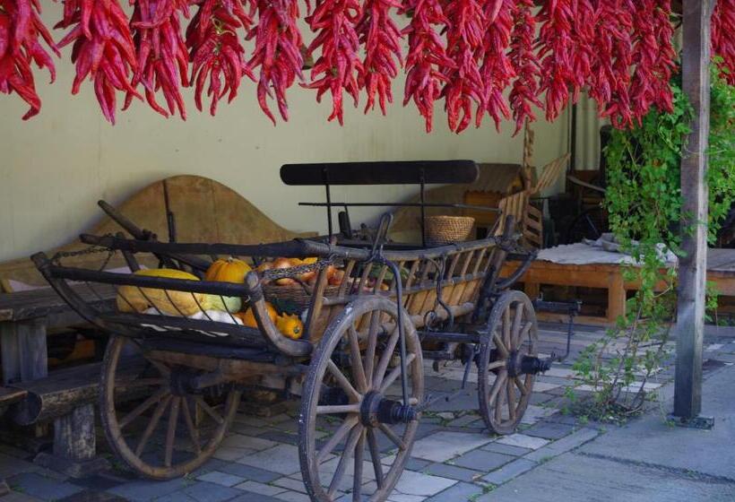 Номер Стандарт, Plauter Kúria