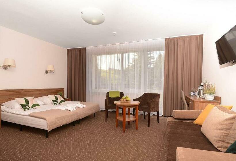 标准三人间, Skalny Spa Bieszczady