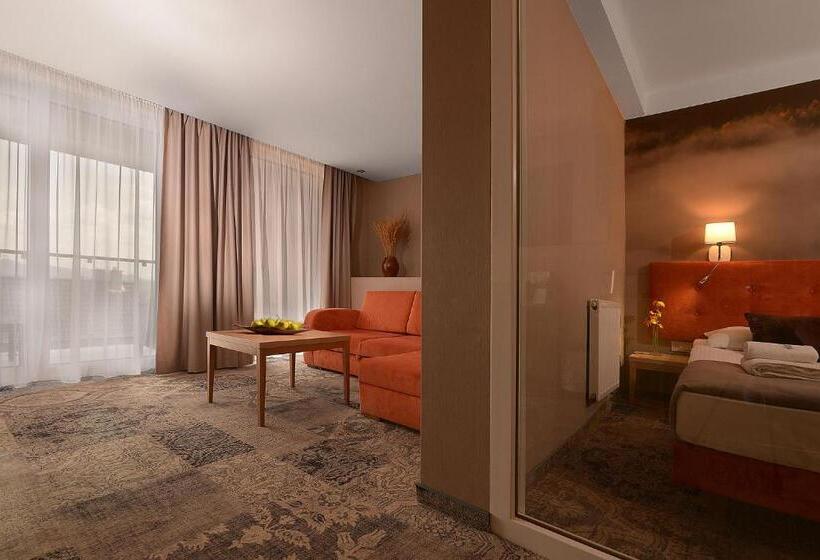 带1个卧室的高级公寓, Skalny Spa Bieszczady