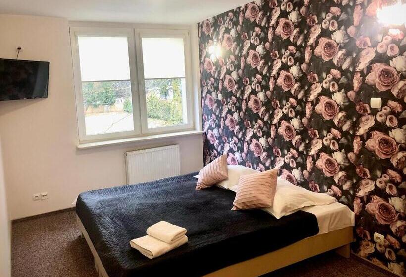 스탠다드 싱글 룸, Sosnowe Zacisze