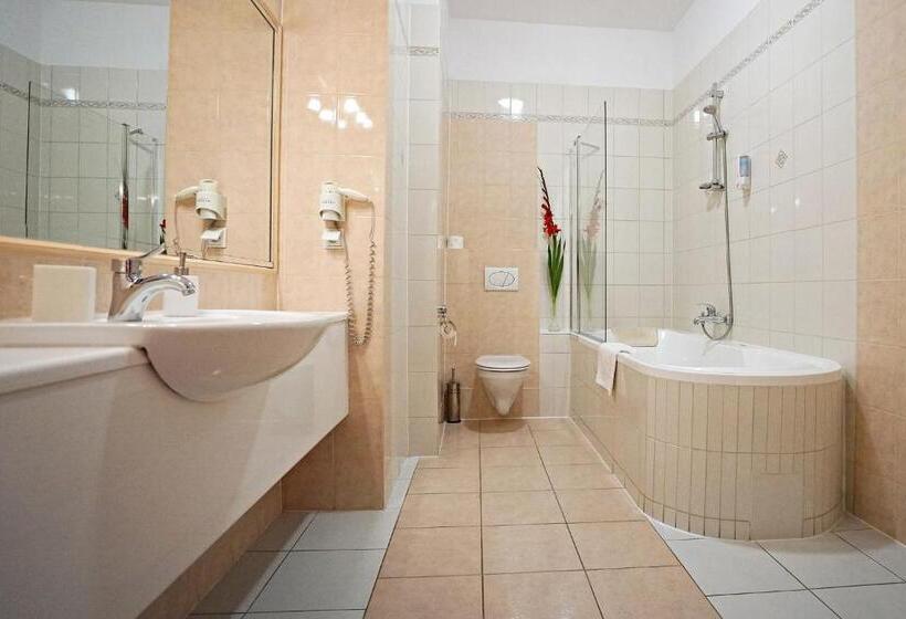 חדר דלוקס, Zamek Królewski We Wschowie