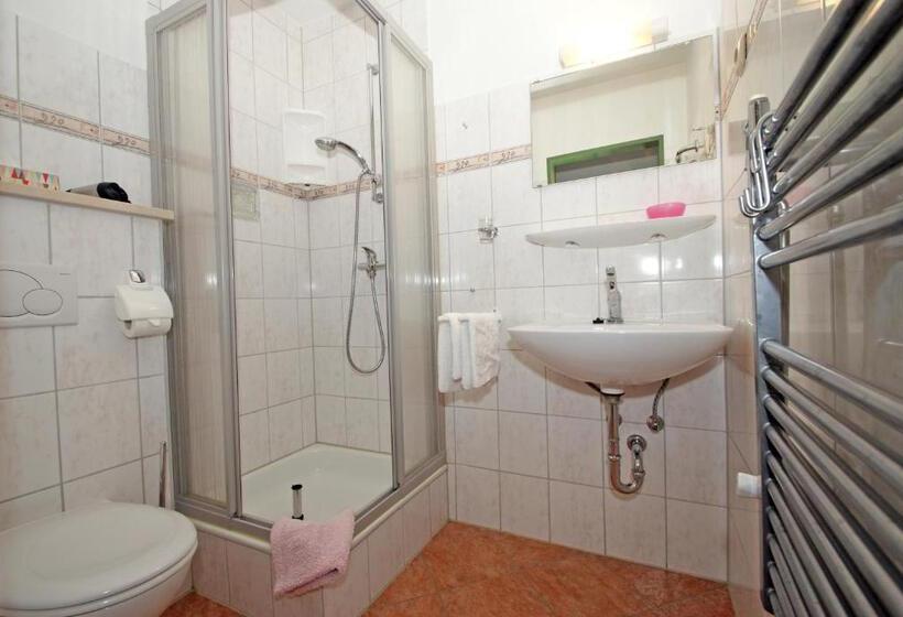 غرفة قياسية فردية, Alpenpanoramahotel Kohlhiasl Höh