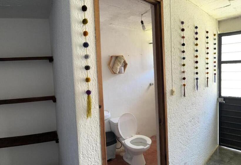 Номер Стандарт, B61 Hostal