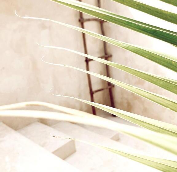 Номер Стандарт Вид на Бассейн, Boutique Kaa