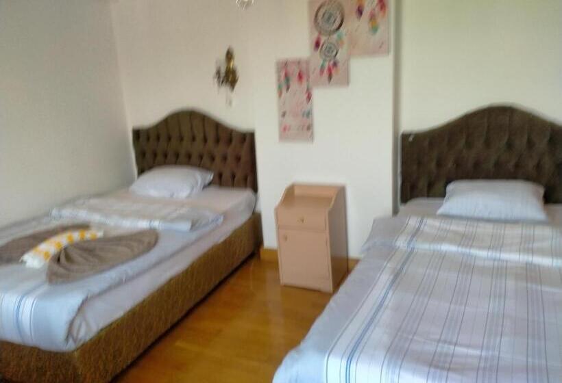 اتاق استاندارد, Jasmine Nile Sky