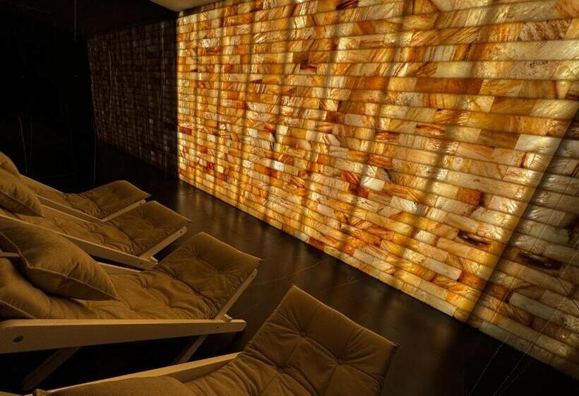 جناح جونيور عائلى, Park Hotel Bristol