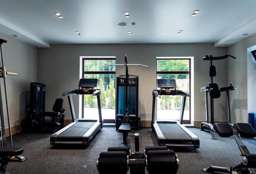 سوئیت جونیور خانوادگی, Park Hotel Bristol
