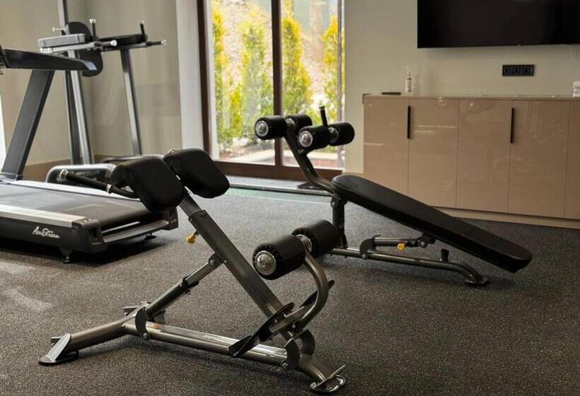 سوئیت جونیور خانوادگی, Park Hotel Bristol