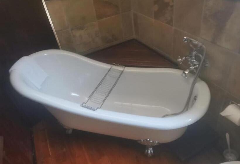 컴포트 룸, Tom S Place Guest House