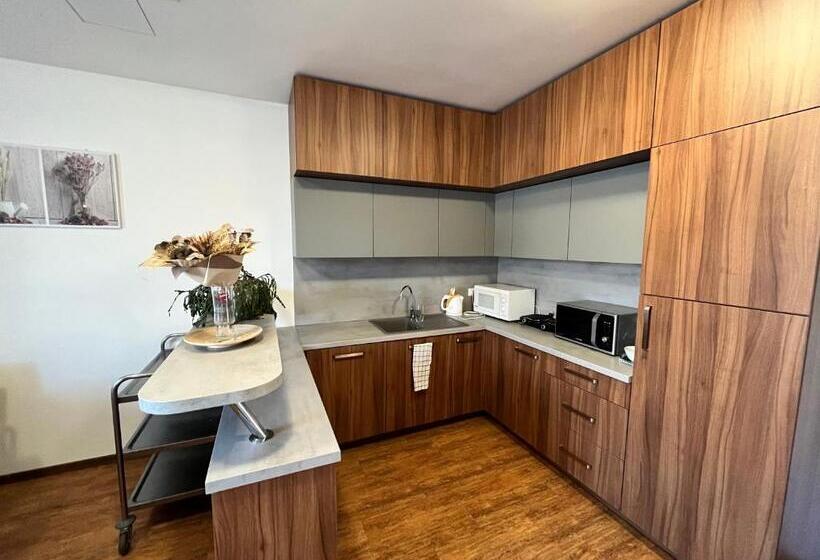 带城市景观的标准间, Ubytovanie Pod Bielymi Karpatmi