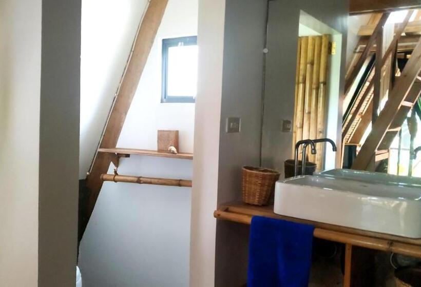 اتاق استاندارد, Tarzan S House
