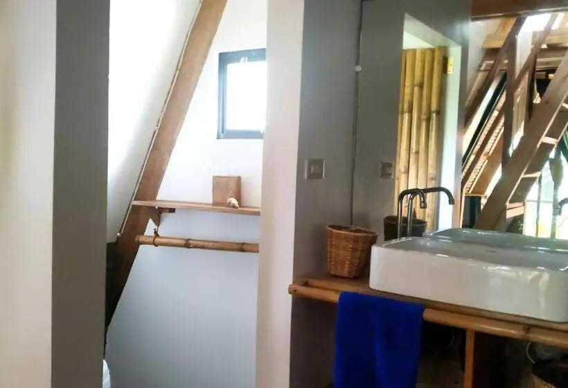 اتاق استاندارد, Tarzan S House