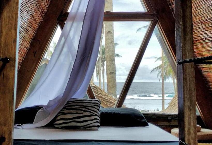 اتاق استاندارد, Tarzan S House