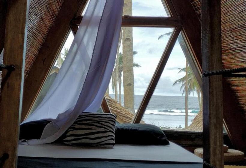 اتاق استاندارد, Tarzan S House