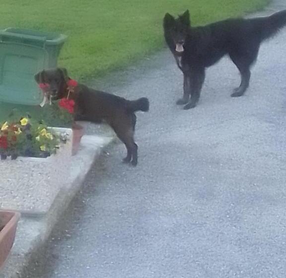 Номер Стандарт Трехместный, B&b Sòt Al Piz