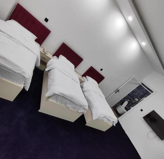 Economy Triple Room, Motel Danzha