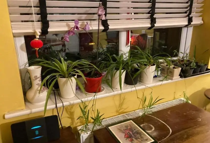 庭の見えるスタンダードトリプルルーム, Hong Kong Inn