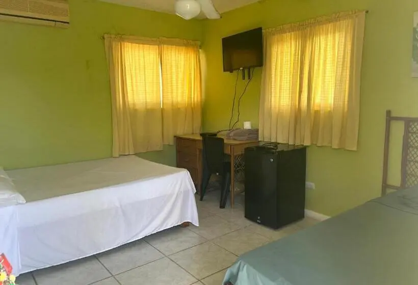 プールの見えるデラックスルーム, Coco Hotel And Hostel