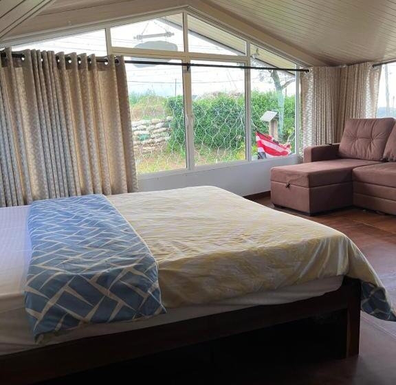 Camera Familiare, Medalin Harmony Nest