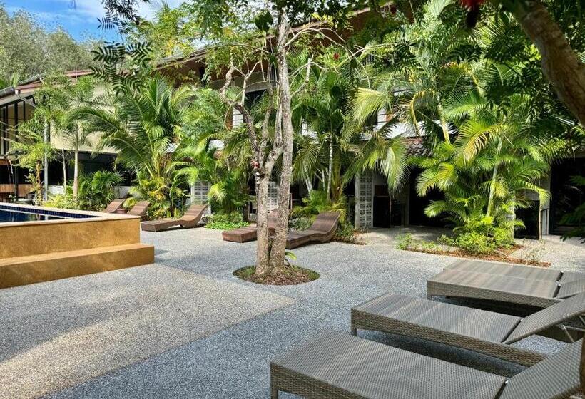 Студио Стандарт с Террасой, Aonangstudio