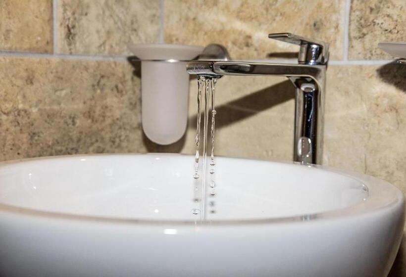 غرفة قياسية, Casino Del Monaco