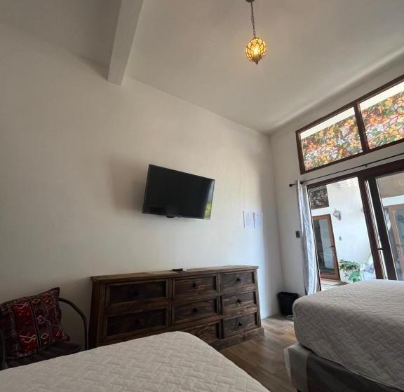 اتاق استاندارد چهار تخته, Mayan Surf